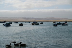 DSC05684  